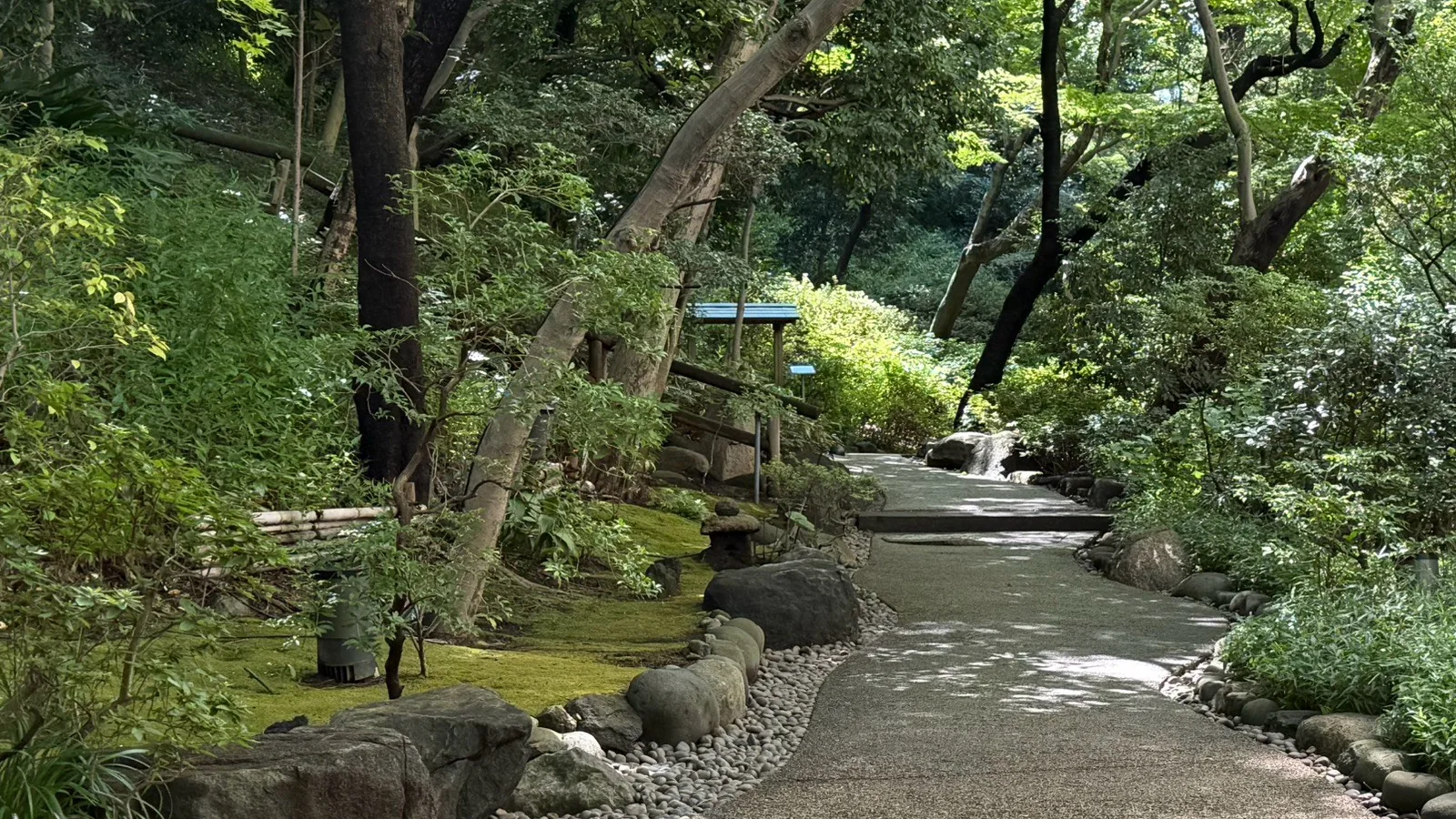 9月の青々とした木々が茂る散策路