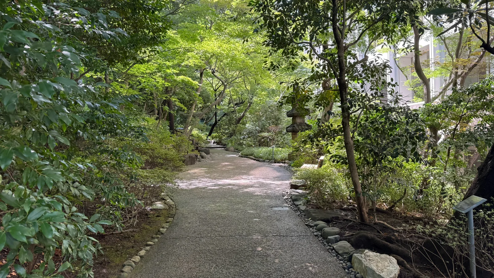木陰が続く日本庭園の散策路